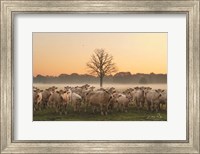 Framed Just Come Cows and A Dead Tree