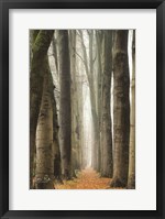 Framed Narrow Alley in the Netherlands