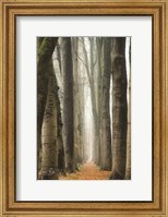 Framed Narrow Alley in the Netherlands