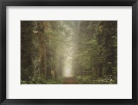 Framed Misty Spring Road