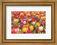 Framed Colorful Bouquet