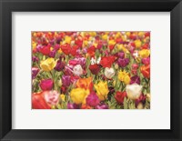 Framed Colorful Bouquet