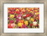 Framed Colorful Bouquet