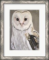 Framed Barn Owl