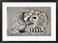 Framed Two Raccoons