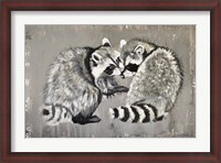 Framed Two Raccoons