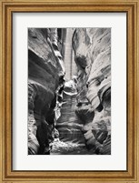 Framed Buckskin Gulch IV BW