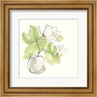 Framed Plant Magnolia II