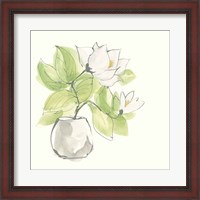 Framed Plant Magnolia II