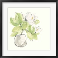 Framed Plant Magnolia II