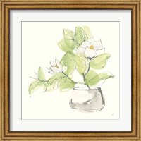 Framed Plant Magnolia I