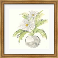 Framed Plant Daisy II