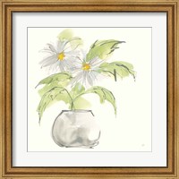 Framed Plant Daisy I