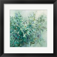 Framed Bay Laurel