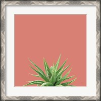 Framed Succulent Simplicity I Coral