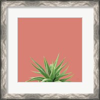 Framed Succulent Simplicity I Coral