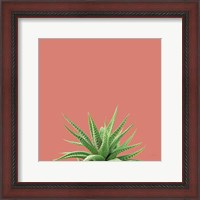 Framed Succulent Simplicity I Coral