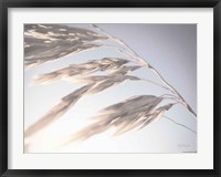 Framed Windy Wheat Fields II Light
