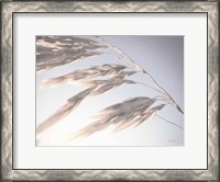 Framed Windy Wheat Fields II Light
