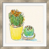 Framed Cacti Garden IV