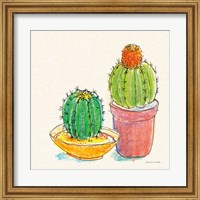 Framed Cacti Garden III