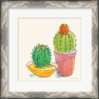 Framed Cacti Garden III