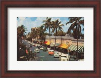 Framed Florida Postcard IV