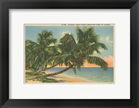 Framed Florida Postcard III