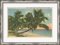 Framed Florida Postcard III