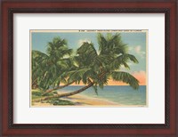 Framed Florida Postcard III