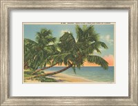 Framed Florida Postcard III
