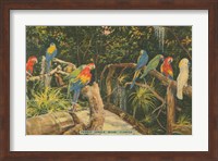 Framed Florida Postcard II