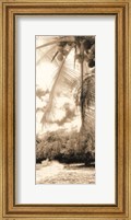 Framed Equatorial Breeze II