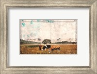 Framed Vintage Grazing Cattle