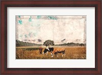 Framed Vintage Grazing Cattle