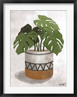 Framed Monstera Plant