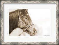 Framed Sepia Thunder