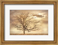 Framed Golden Tree