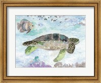 Framed Swimming Sea Turtle