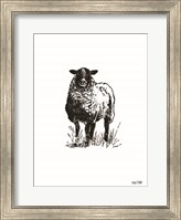 Framed Farmhouse Sheep