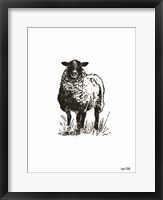 Framed Farmhouse Sheep