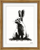 Framed Farmhouse Rabbit