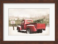 Framed Christmas Tree Pick