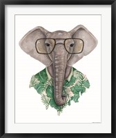 Framed Elephant in Eye Glasses
