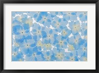 Framed Layout Of Hydrangea Blossoms