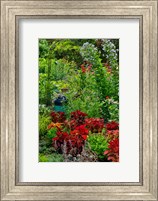 Framed Garden Summer Flowers And Coleus Plants In Bronze And Reds, Sammamish, Washington State