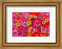 Framed Flower Pattern With Large Group Of Flowers, Sammamish, Washington State