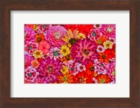 Framed Flower Pattern With Large Group Of Flowers, Sammamish, Washington State