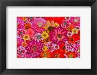 Framed Flower Pattern With Large Group Of Flowers, Sammamish, Washington State