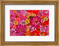 Framed Flower Pattern With Large Group Of Flowers, Sammamish, Washington State